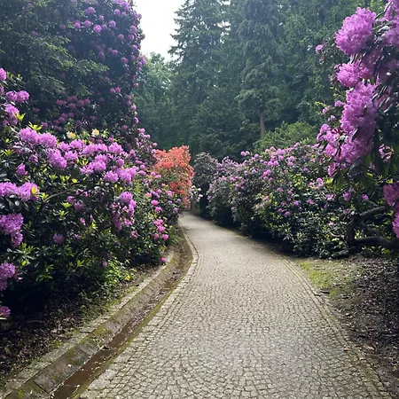 Bingo Przy Deptaku * Szczawno-Zdroj