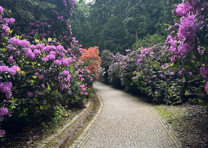 Bingo Przy Deptaku * Szczawno-Zdroj